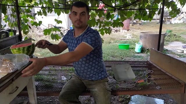 ШОК. чтобы бесплатно содержать свиней нужно работать в пекарне смотреть онлайн