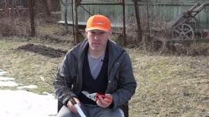 Прививка деревьев. Лучшее время для выполнения прививки в Подмосковье