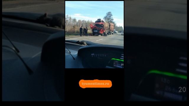 Лесовоз КАМАЗ влетел в автовоз Scania на трассе Курган - Тюмень