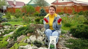 ПУШИСТЫЕ ХВОЙНЫЕ ДЛЯ ВАШЕГО АЛЬПИНАРИЯ | Чем подкормить карликовые хвойные?