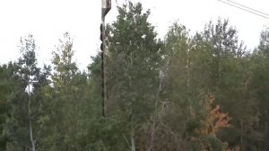 Расчистка просеки ЛЭП вертолетом 2 HD