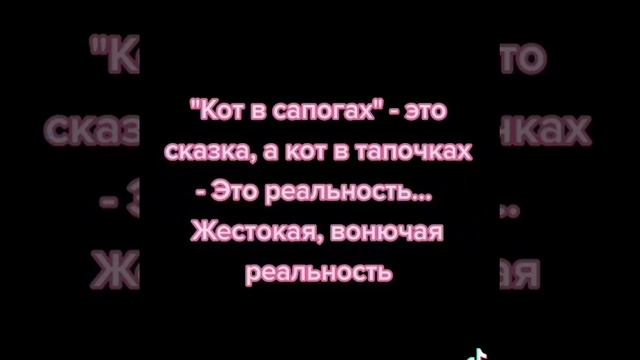 Анекдоты дня про дышащие кроссовки, сказка про кота в сапогах и тапочках, колобка бабушкой дедушкой