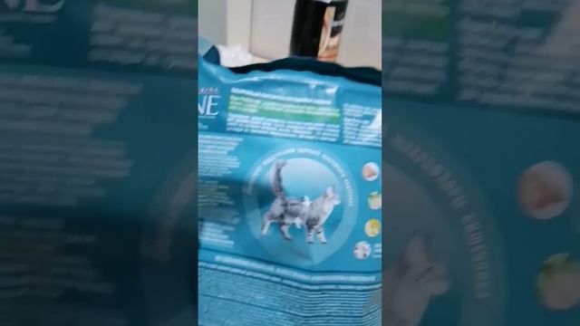 удивительный состав продуктов питания для людей и животных...коты завоевали этот мир... 🤣 смотреть онлайн