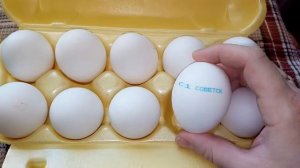 Как выбрать яйца в магазине