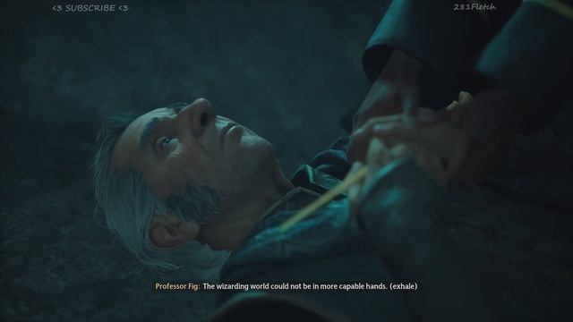 HOGWARTS LEGACY - Hufflepuff /30 - XBOX SERIES S смотреть онлайн