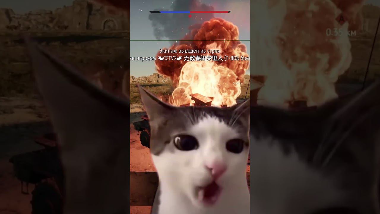 Vilkas War Thunder #Shorts #вартандер #funnyvideo #warthunder #приколы #vilkas смотреть онлайн