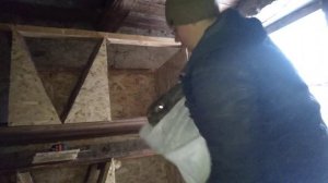 Кролики породы Фландр: разведение и содержание в домашних условиях .