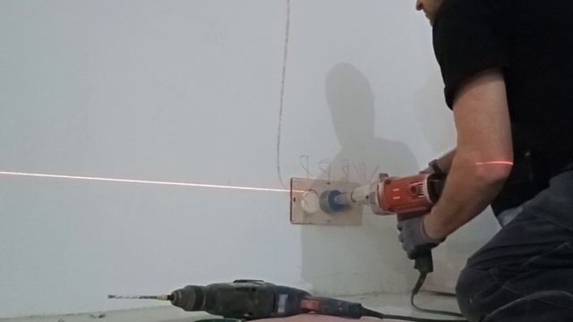 Размножение розеток от существующей