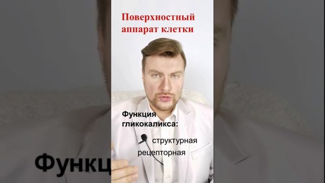 Поверхностный аппарат клетки. ЕГЭ Биология. ЕГЭ 2022.