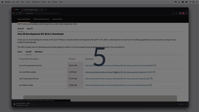 2- Installing JDK and IntelliJ IDEA on mac смотреть онлайн