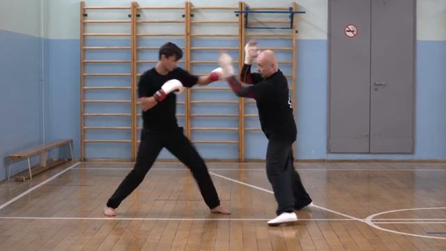 Школа Ицюань-198.  Отработка Ицюань Саньшоу /Yiquan Sanshou