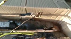 Отзыв об agro-market24.ru