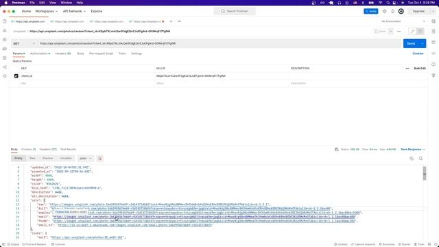 Unsplash API Tutorial | For Beginners смотреть онлайн