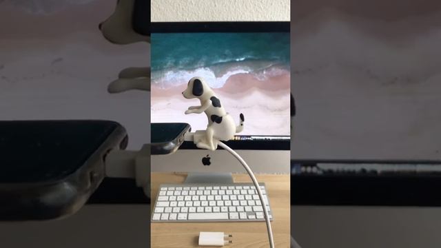 Забавная зарядка для телефона собачка!