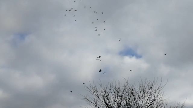 Продолжение разминки. смотреть онлайн