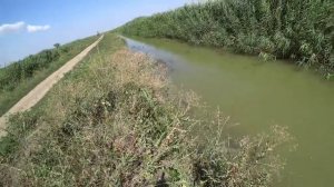 Cазан на закидушки