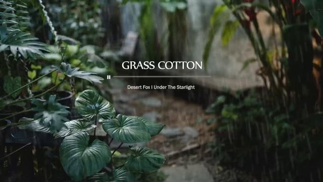 Нежная романтичная инструментальная музыка. Музыка для создания атмосферы, настроения, удовольствия. смотреть онлайн