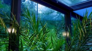 Расслабляющая музыка с дождем