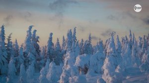 Наша Сибирь 4К: Хребет Вечных ветров