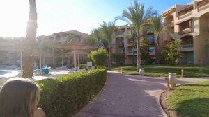 Египет отдых / Обзор Parrotel Lagoon Resort 5*. Обзор номера. Чем кормят у бассейна?