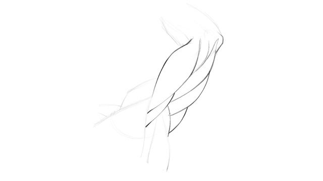 Lesson 08. Drawing the Under Arm View of the Refinement