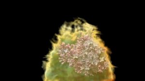 Наташа Галич - Ты единственный мой. Автор ролика - Шатоба Владимир.mp4