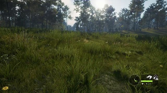 theHunter: Call of the Wild rabbit hunting смотреть онлайн
