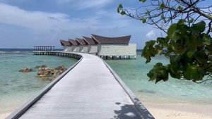 Mövenpick Kuredhivaru Мальдивы 2022, обзор отеля