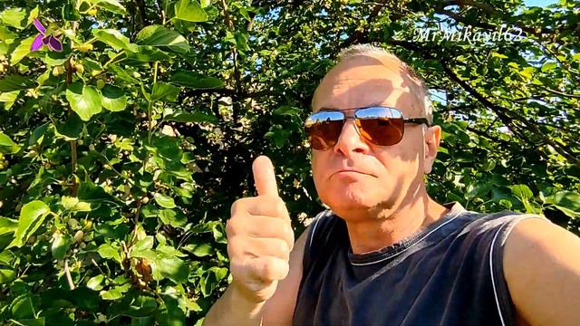 Белый тут натощак - Это просто сказка! 12.06.22. 07:42. Дача - Горадиль смотреть онлайн