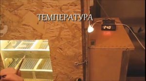 Причины неудач инкубации