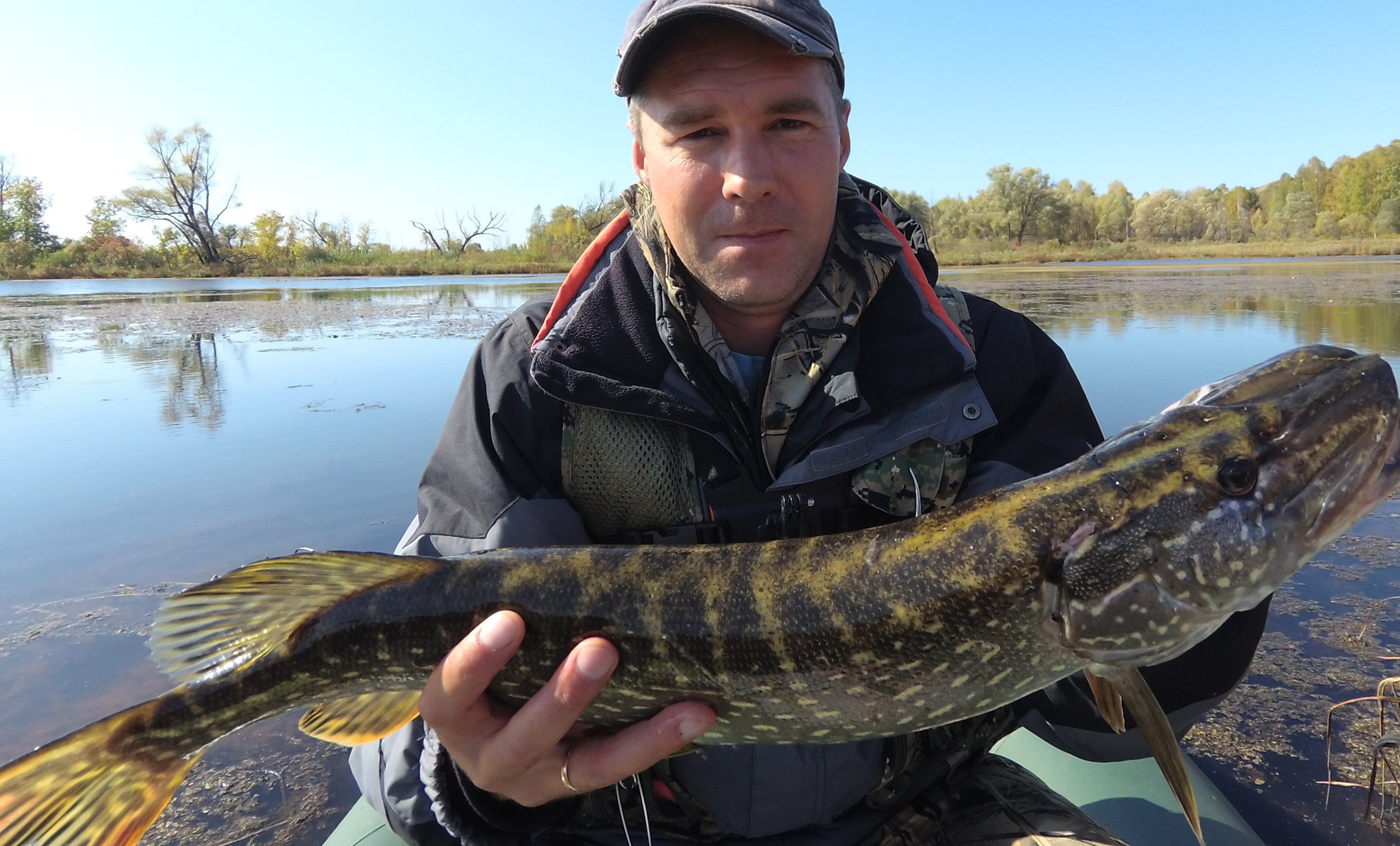 МОЩНАЯ ПОКЛЁВКА НА КИТАЙСКИЙ ВОБЛЕР ! Рыбалка на диком пруду . смотреть онлайн