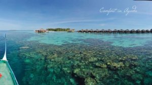 5* AYADA MALDIVES