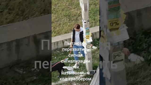 Автоугонщики Краснодар