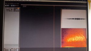 Спектральное редактирование звука в Reaper