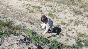 нет явлений противных; наши лучи поворачивают путь и покрывают куполом безопасности.