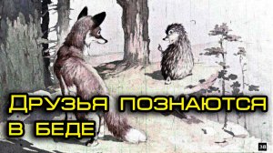Друзья познаются в беде.mp4