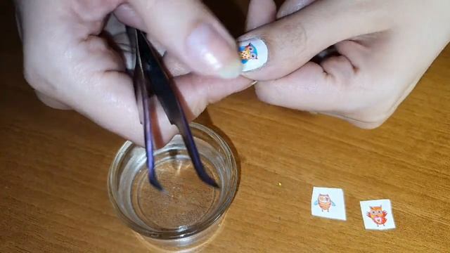 Быстрый дизайн ногтей с совушками?А также впервые крашу ногти с внутренней стороны ? смотреть онлайн