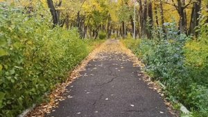 Бывшая свекровь узнав, что я получила наследство, ее переполняло зависть