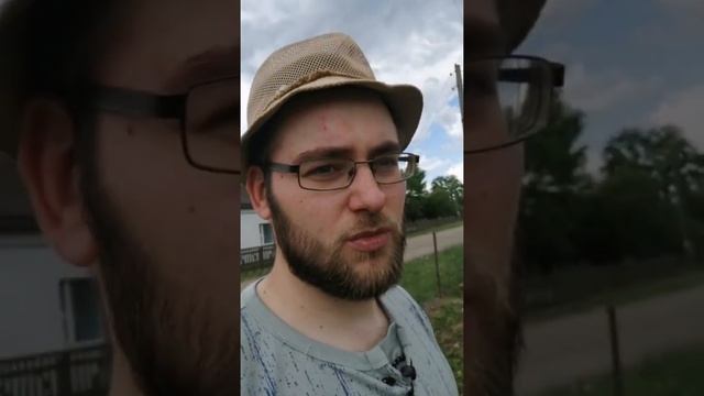 Успех в грибном деле. Грядка хольцера финал.