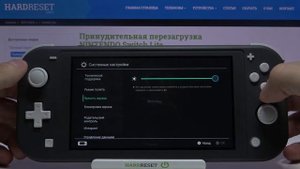 Смена яркости экрана Nintendo Switch Lite /Как поменять уровень яркости экрана Nintendo Switch Lite