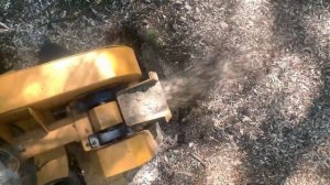 Дробление пней измельчителем Rayco rg 1635