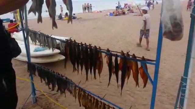 Иссыкуль 2016 Бостери рыбак Вася смотреть онлайн