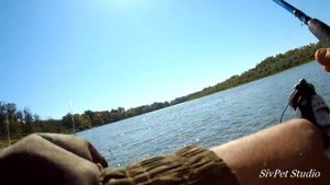 Судак на Кильку . Река дон .10 сентября . Осенняя рыбалка .