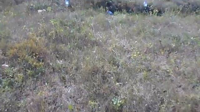 38м дробь 2 и 0000 2 смотреть онлайн