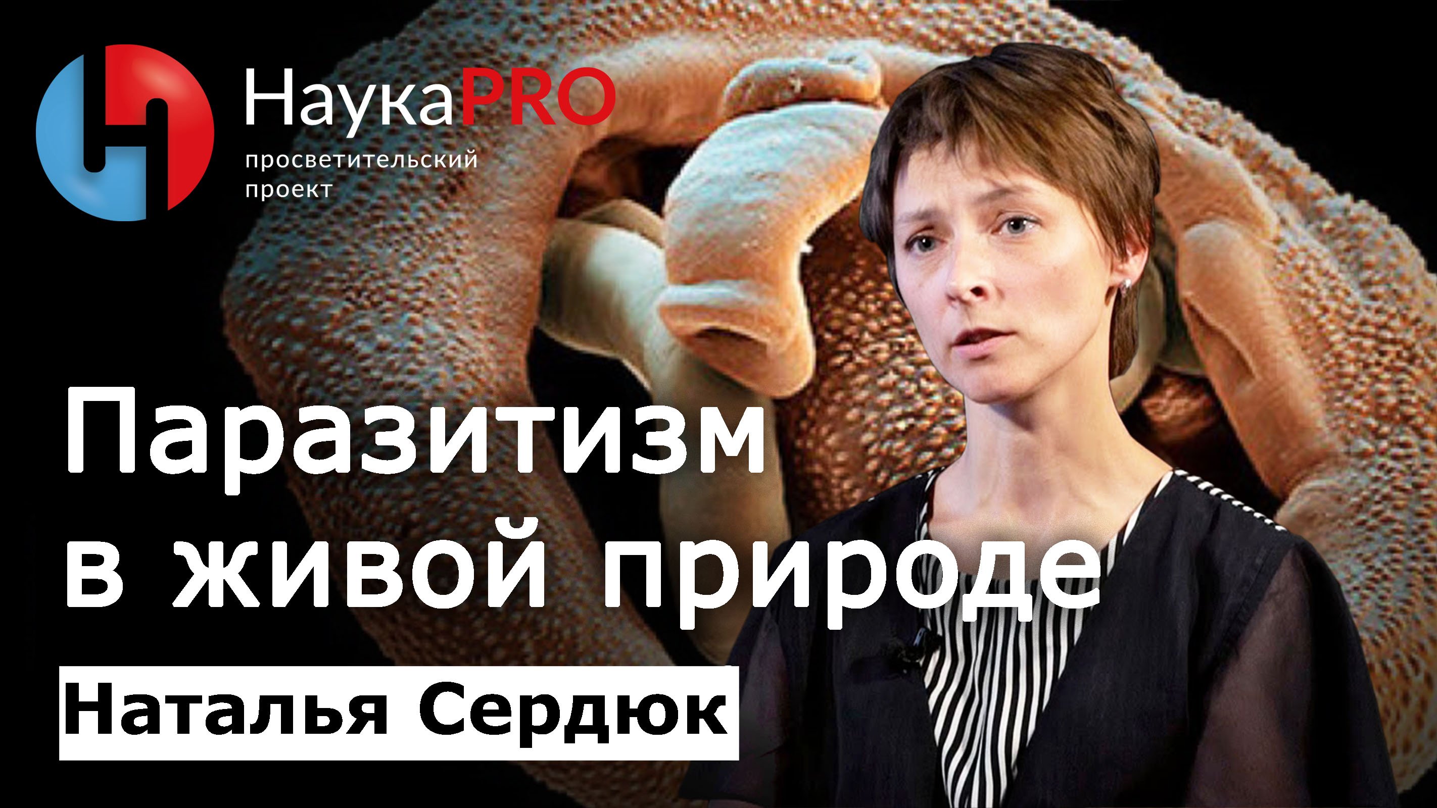 Паразитизм в живой природе | Лекции по паразитологии – биолог Наталья Сердюк | Научпоп