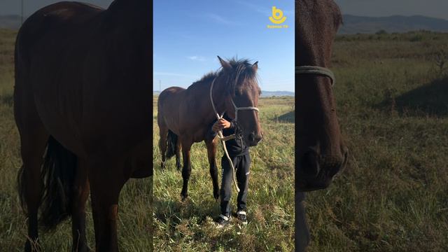 Сократ Бадмаев дүрбэ наһатайһаа морин дээрэ ябадаг