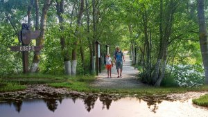 ВЛОГ / Гуляем в Сукко / Парк Львиное сердце / Кипарисовое озеро