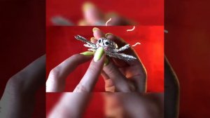 Веселый паучок ..