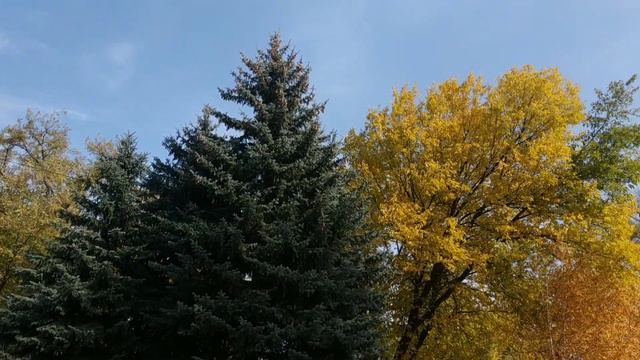 Добрый вечер! Прощай золотая осень идёт к нам красавица зима! смотреть онлайн