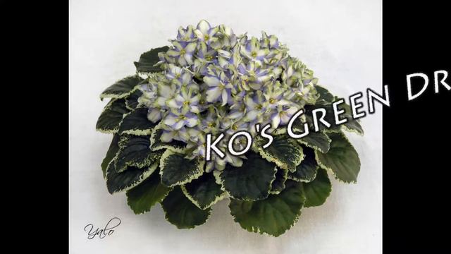 ДФ.Новогоднее поздравление из Дома Фиалки (Москва) смотреть онлайн